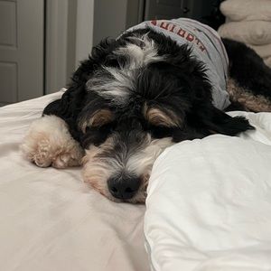 Meet your Posher, Whitney